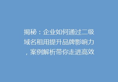 揭秘：企业如何通过二级域名租用提升品牌影响力，案例解析带你走进高效域名策略世界！