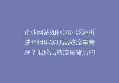 企业网站如何通过泛解析域名租用实现高效流量管理？揭秘高效流量背后的秘密！