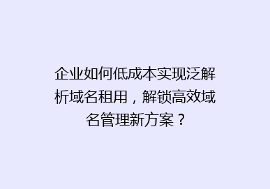 企业如何低成本实现泛解析域名租用，解锁高效域名管理新方案？