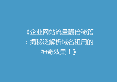 《企业网站流量翻倍秘籍：揭秘泛解析域名租用的神奇效果！》