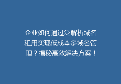 企业如何通过泛解析域名租用实现低成本多域名管理？揭秘高效解决方案！