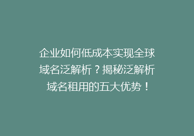 企业如何低成本实现全球域名泛解析？揭秘泛解析域名租用的五大优势！