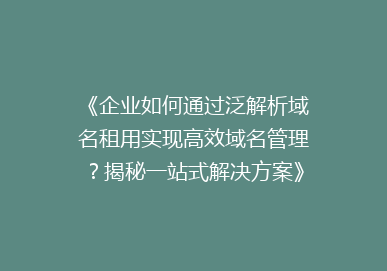 《企业如何通过泛解析域名租用实现高效域名管理？揭秘一站式解决方案》