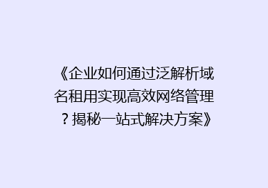 《企业如何通过泛解析域名租用实现高效网络管理？揭秘一站式解决方案》