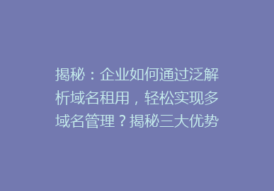 揭秘：企业如何通过泛解析域名租用，轻松实现多域名管理？揭秘三大优势！