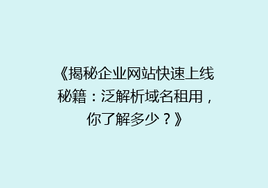 《揭秘企业网站快速上线秘籍：泛解析域名租用，你了解多少？》