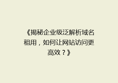 《揭秘企业级泛解析域名租用，如何让网站访问更高效？》