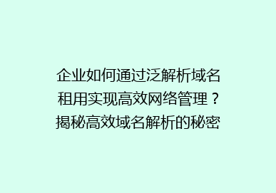 企业如何通过泛解析域名租用实现高效网络管理？揭秘高效域名解析的秘密！