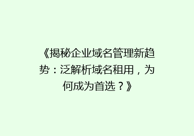《揭秘企业域名管理新趋势：泛解析域名租用，为何成为首选？》