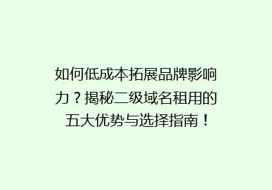 如何低成本拓展品牌影响力？揭秘二级域名租用的五大优势与选择指南！