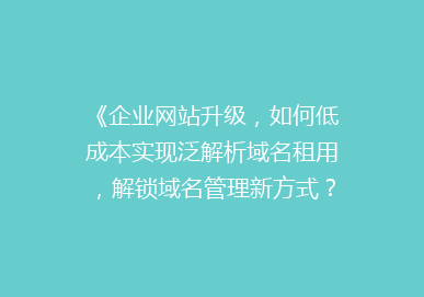 《企业网站升级，如何低成本实现泛解析域名租用，解锁域名管理新方式？》