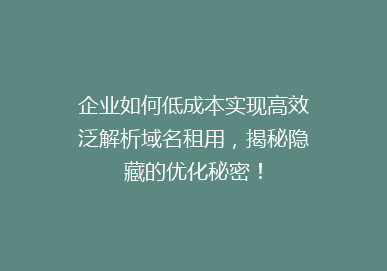 企业如何低成本实现高效泛解析域名租用，揭秘隐藏的优化秘密！