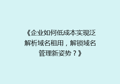 《企业如何低成本实现泛解析域名租用，解锁域名管理新姿势？》