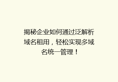 揭秘企业如何通过泛解析域名租用，轻松实现多域名统一管理！