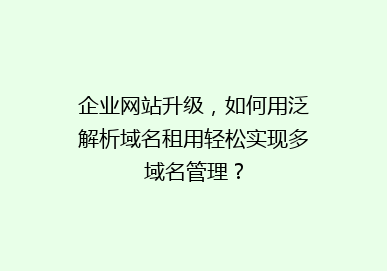 企业网站升级，如何用泛解析域名租用轻松实现多域名管理？