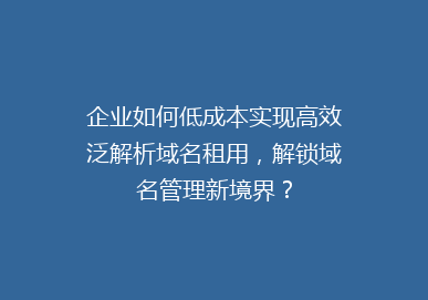 企业如何低成本实现高效泛解析域名租用，解锁域名管理新境界？