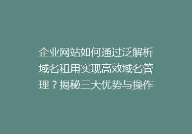 企业网站如何通过泛解析域名租用实现高效域名管理？揭秘三大优势与操作指南