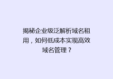 揭秘企业级泛解析域名租用，如何低成本实现高效域名管理？