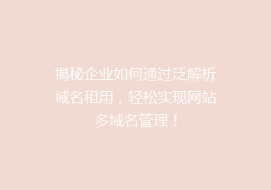 揭秘企业如何通过泛解析域名租用，轻松实现网站多域名管理！