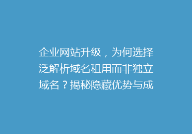 企业网站升级，为何选择泛解析域名租用而非独立域名？揭秘隐藏优势与成本节省之道！