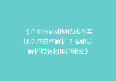 《企业网站如何低成本实现全球域名解析？揭秘泛解析域名租用的秘密》