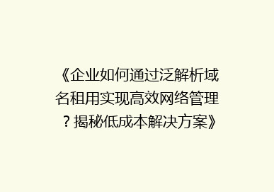《企业如何通过泛解析域名租用实现高效网络管理？揭秘低成本解决方案》