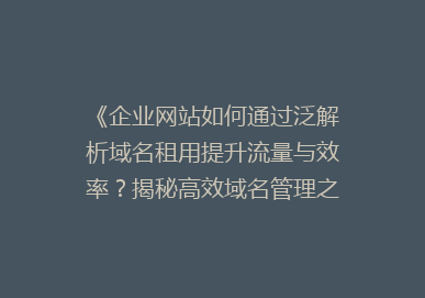 《企业网站如何通过泛解析域名租用提升流量与效率？揭秘高效域名管理之道》