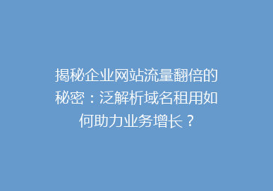 揭秘企业网站流量翻倍的秘密：泛解析域名租用如何助力业务增长？
