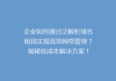 企业如何通过泛解析域名租用实现高效网络管理？揭秘低成本解决方案！