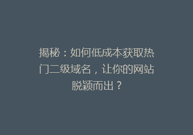 揭秘：如何低成本获取热门二级域名，让你的网站脱颖而出？