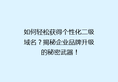 如何轻松获得个性化二级域名？揭秘企业品牌升级的秘密武器！