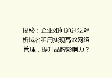 揭秘：企业如何通过泛解析域名租用实现高效网络管理，提升品牌影响力？