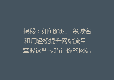 揭秘：如何通过二级域名租用轻松提升网站流量，掌握这些技巧让你的网站脱颖而出！