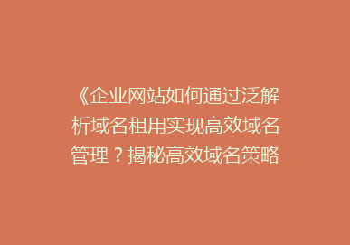 《企业网站如何通过泛解析域名租用实现高效域名管理？揭秘高效域名策略》