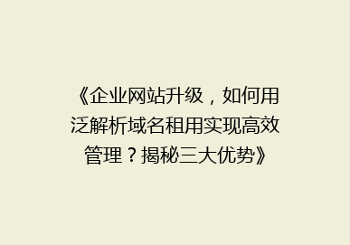 《企业网站升级，如何用泛解析域名租用实现高效管理？揭秘三大优势》