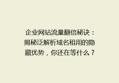 企业网站流量翻倍秘诀：揭秘泛解析域名租用的隐藏优势，你还在等什么？