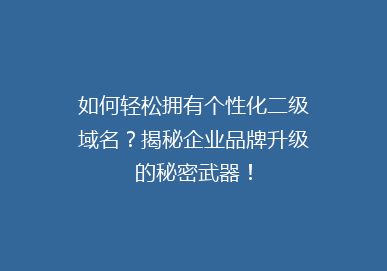 如何轻松拥有个性化二级域名？揭秘企业品牌升级的秘密武器！