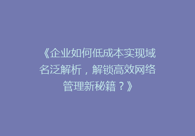《企业如何低成本实现域名泛解析，解锁高效网络管理新秘籍？》