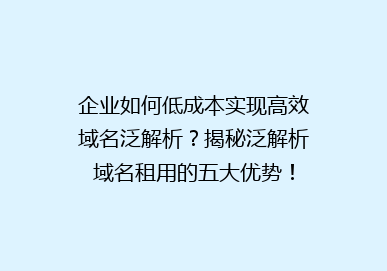 企业如何低成本实现高效域名泛解析？揭秘泛解析域名租用的五大优势！
