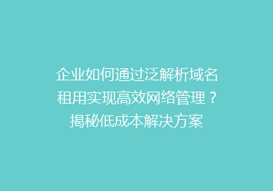 企业如何通过泛解析域名租用实现高效网络管理？揭秘低成本解决方案