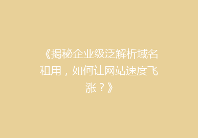 《揭秘企业级泛解析域名租用，如何让网站速度飞涨？》