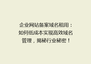 企业网站备案域名租用：如何低成本实现高效域名管理，揭秘行业秘密！