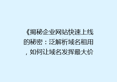 《揭秘企业网站快速上线的秘密：泛解析域名租用，如何让域名发挥最大价值？》