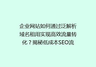 企业网站如何通过泛解析域名租用实现高效流量转化？揭秘低成本SEO流量策略！