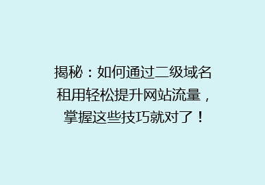 揭秘：如何通过二级域名租用轻松提升网站流量，掌握这些技巧就对了！
