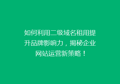 如何利用二级域名租用提升品牌影响力，揭秘企业网站运营新策略！