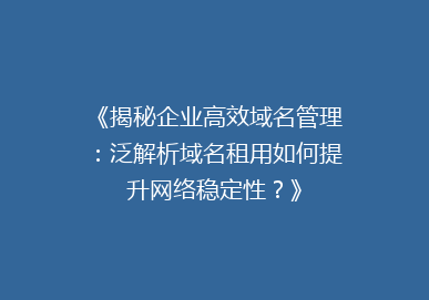 《揭秘企业高效域名管理：泛解析域名租用如何提升网络稳定性？》