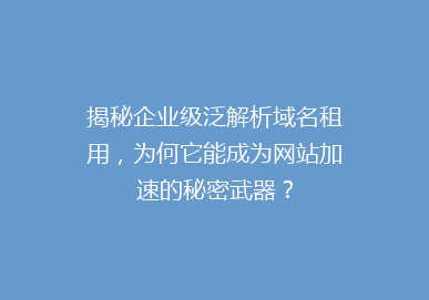 揭秘企业级泛解析域名租用，为何它能成为网站加速的秘密武器？