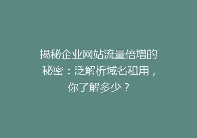揭秘企业网站流量倍增的秘密：泛解析域名租用，你了解多少？
