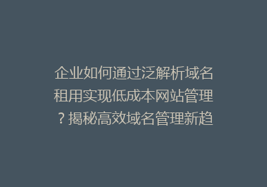 企业如何通过泛解析域名租用实现低成本网站管理？揭秘高效域名管理新趋势！